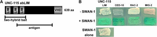 Figure 1.—