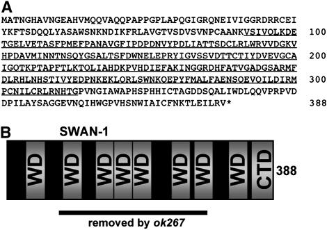 Figure 3.—