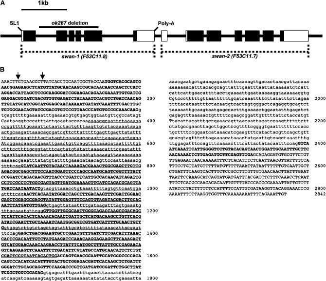 Figure 2.—