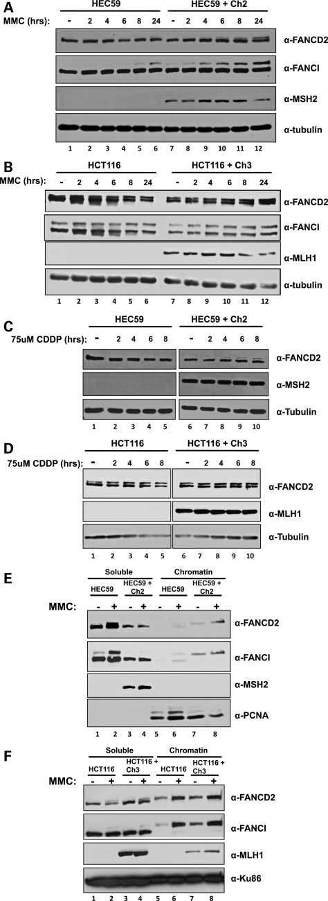 Figure 3.