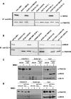 Figure 2.