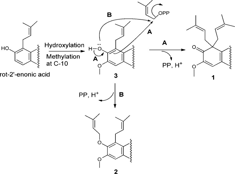 Scheme 1