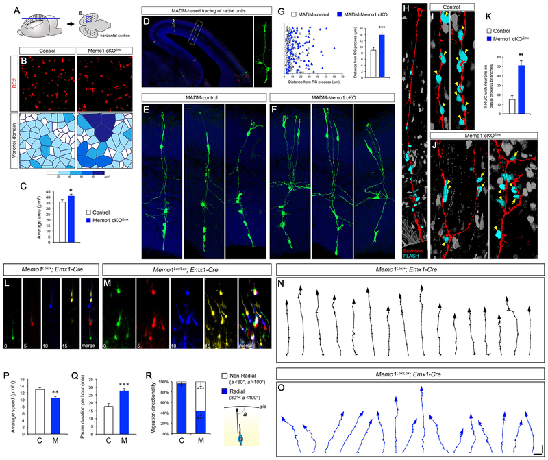 Figure 3: