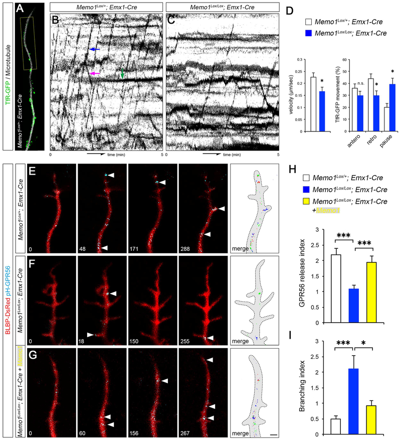 Figure 6: