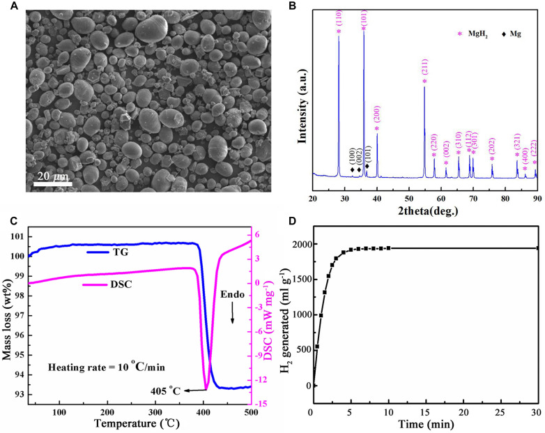 FIGURE 1