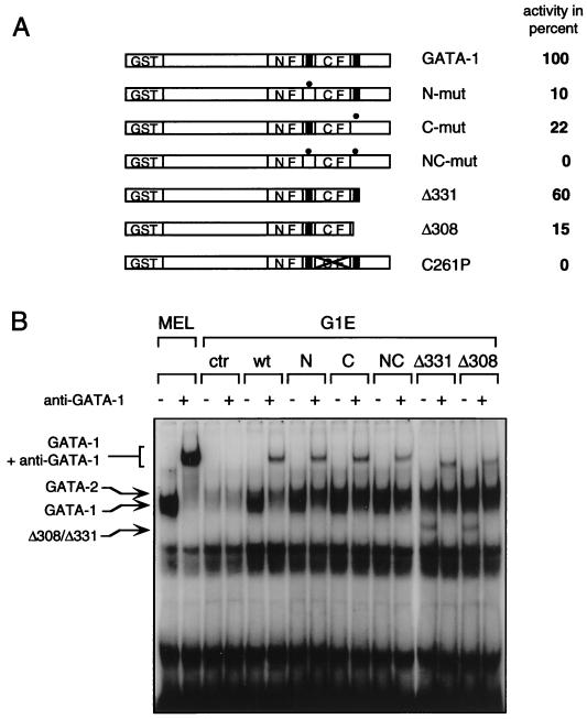 FIG. 7