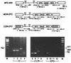 FIG. 10