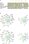 F<sc>igure</sc> 1.