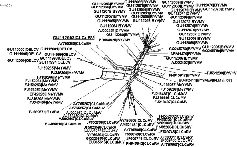 Fig. 3