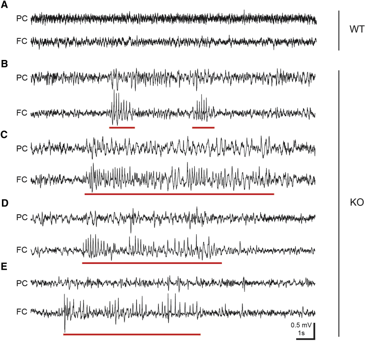 Figure 3