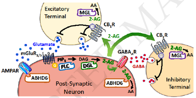 Figure 1,