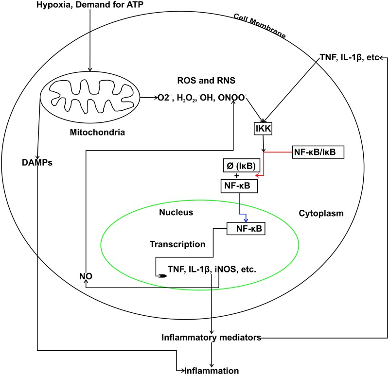 Fig 5