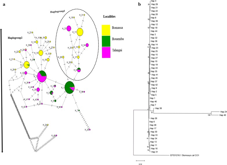 graphic file with name 13071_2020_4120_Figa_HTML.jpg