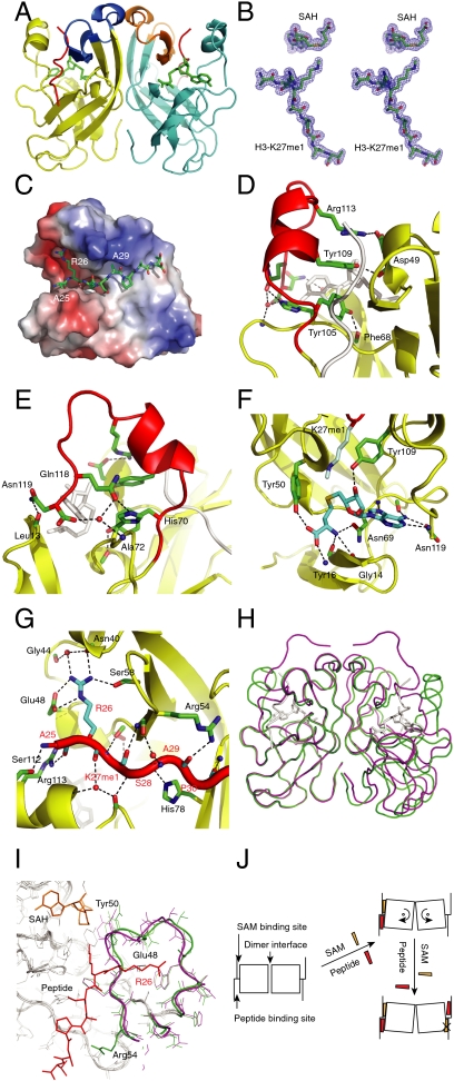 Fig. 5.