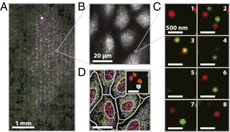 Fig. 3.