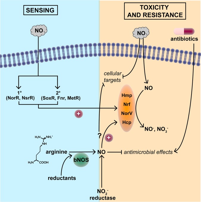 Figure 1.