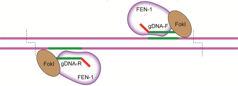 Fig 2.