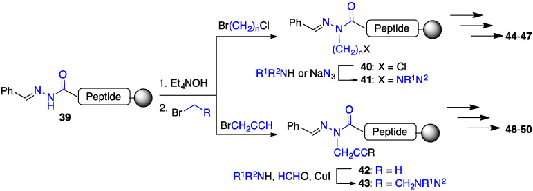 Scheme 3