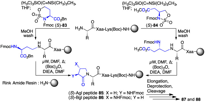 Scheme 8