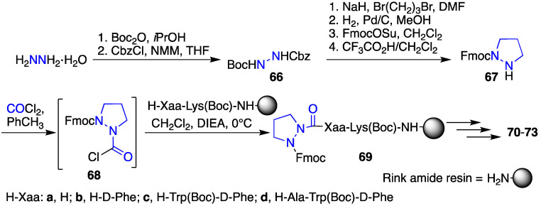 Scheme 6