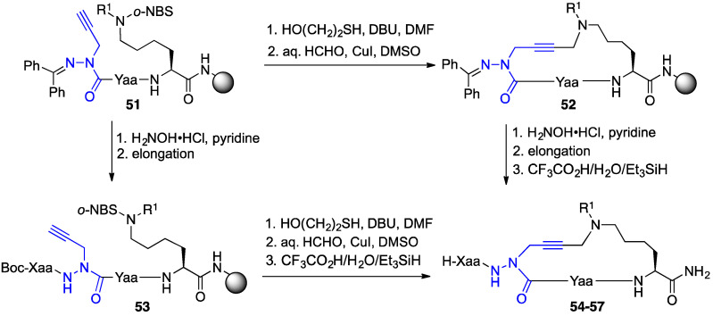 Scheme 4