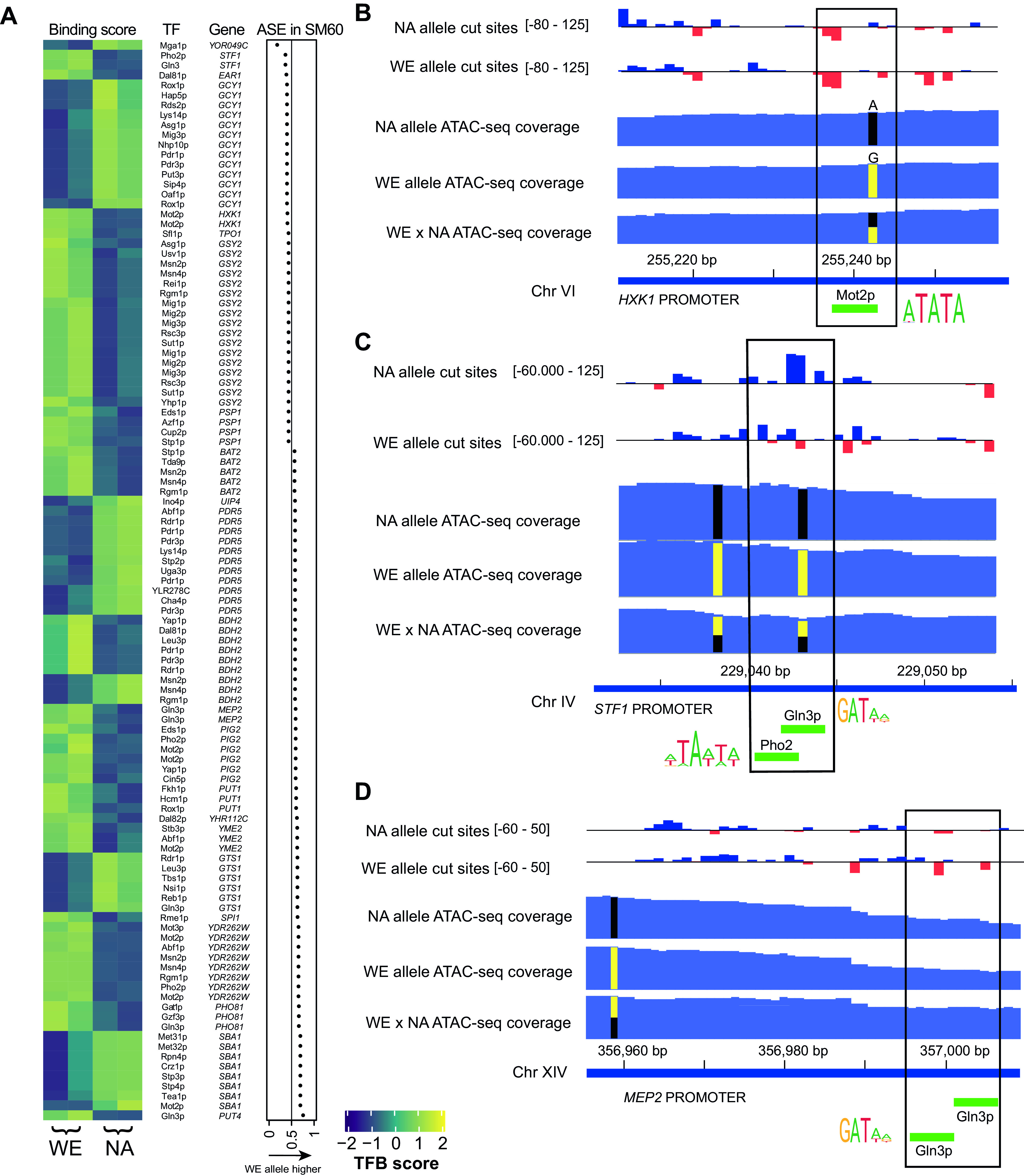 FIG 6