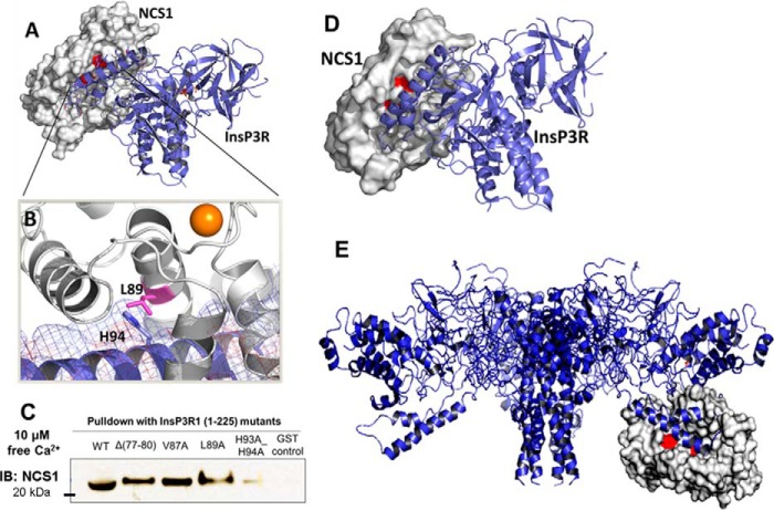 Figure 3.