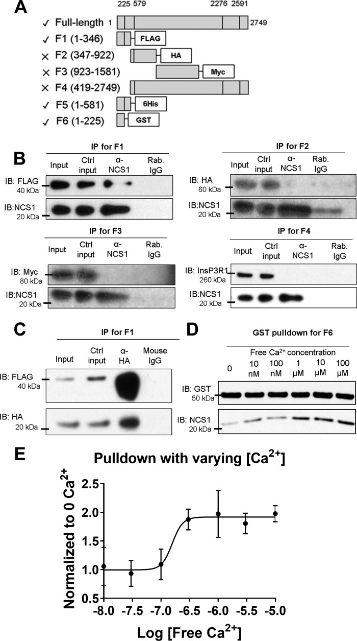 Figure 1.