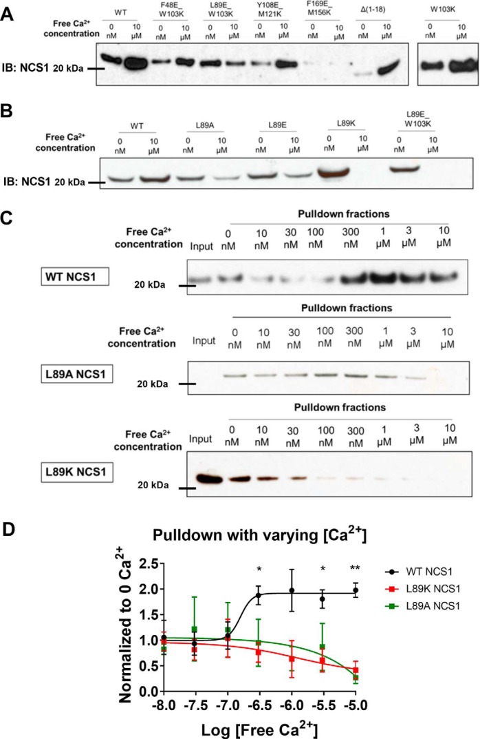 Figure 2.