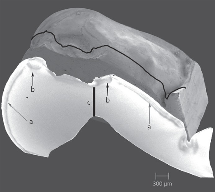 Fig. 5