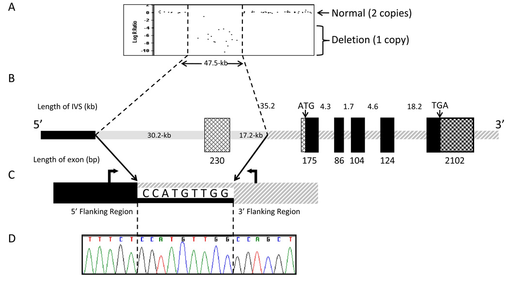 Fig. 2