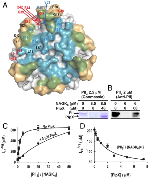 Fig. 3.