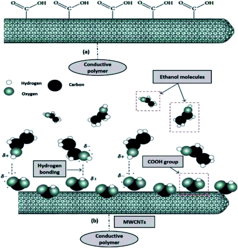 Fig. 12