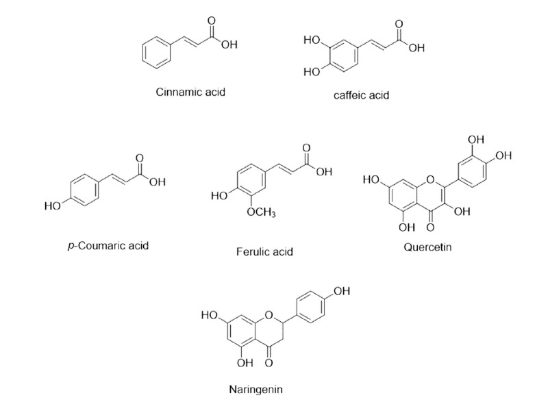 Figure 12