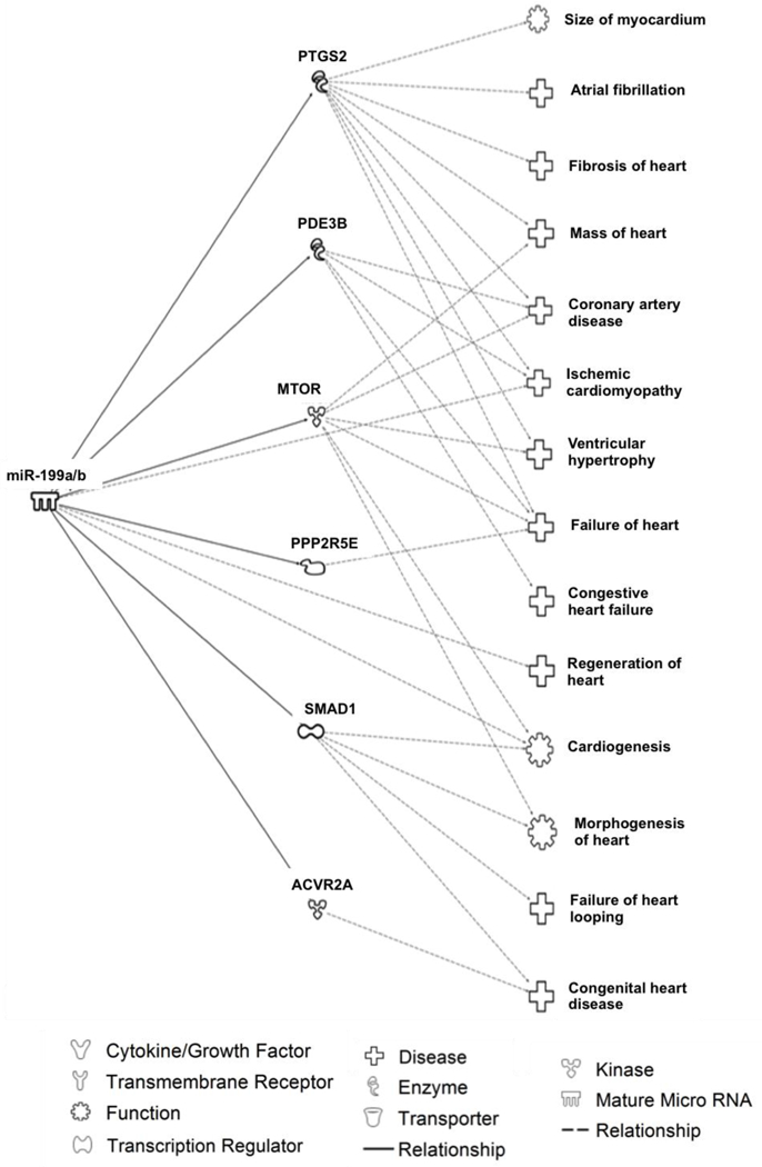 Fig 3.