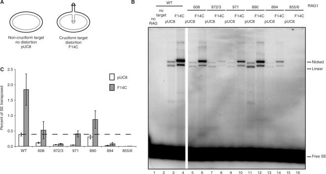 Figure 6.