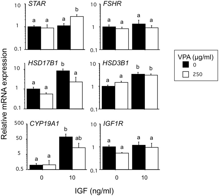 Figure 6