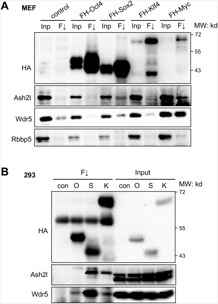 Fig 3