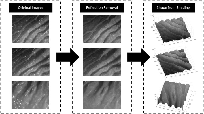 Fig. 3