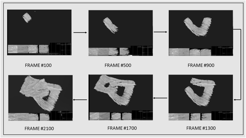 Fig. 8