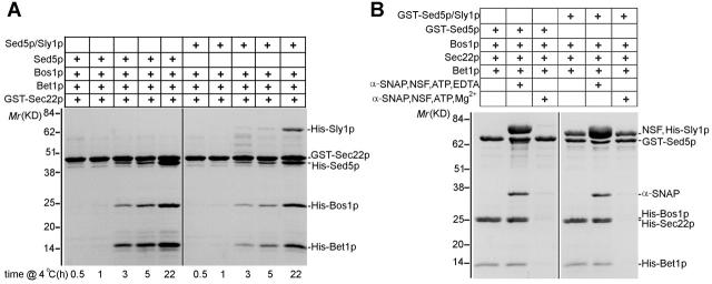 Figure 6.