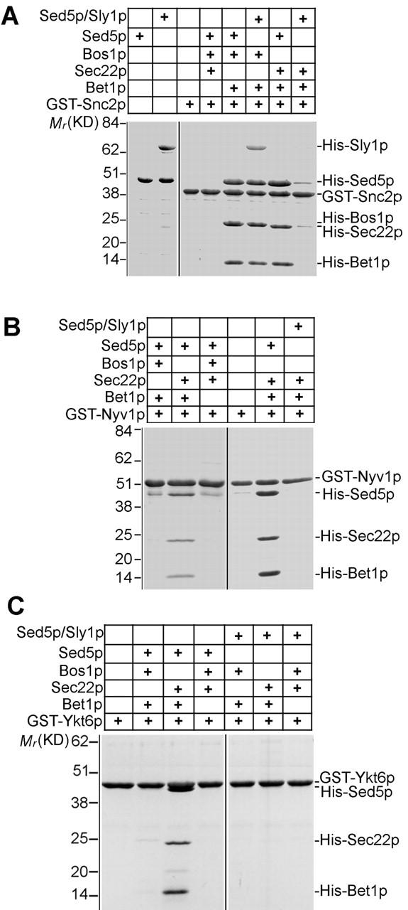 Figure 7.