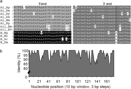 Fig. 1.—