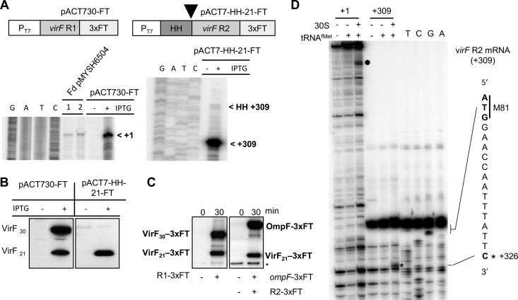 FIG 7 