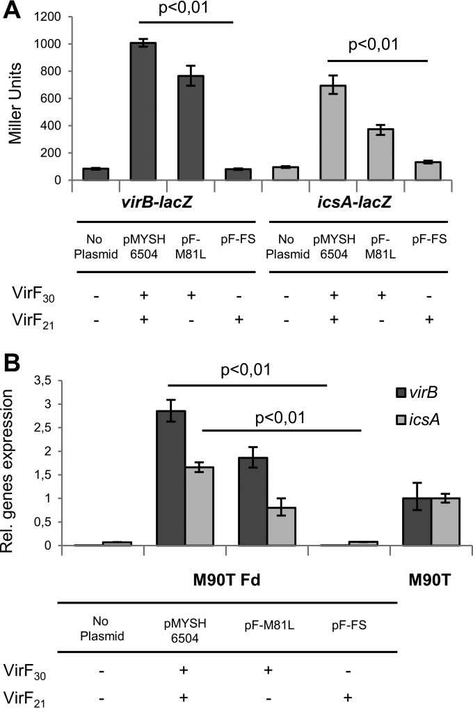 FIG 4 