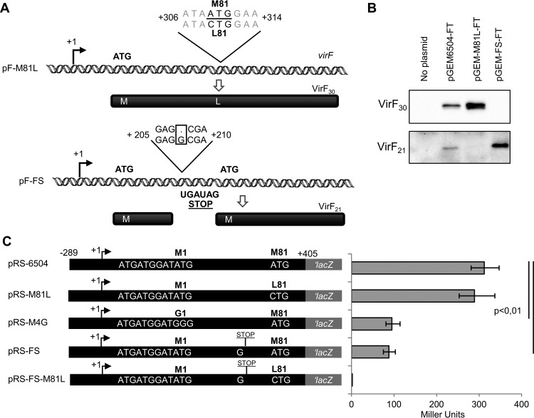 FIG 3 