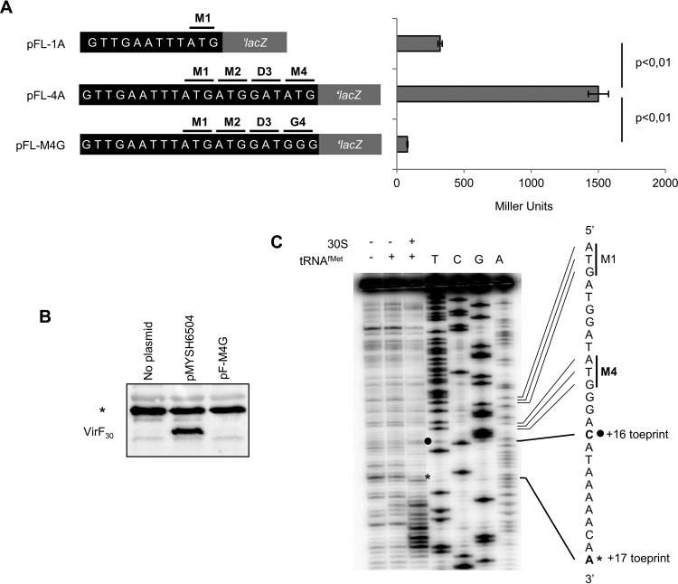 FIG 2 