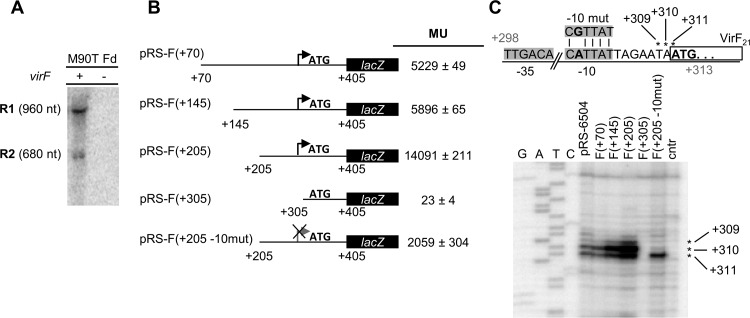 FIG 6 