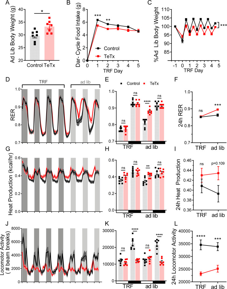 Figure 4—figure supplement 1.