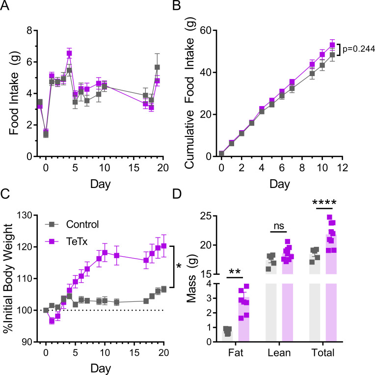 Figure 1—figure supplement 2.